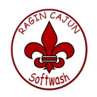 Ragin Cajun Softwash LLC image 2